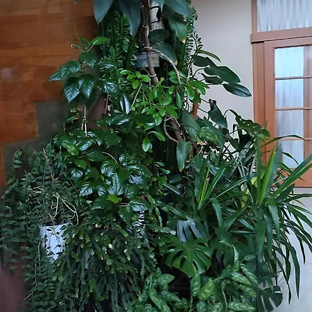 Nad Helmrovkou Rum i privatbostad