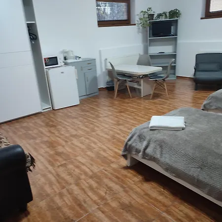 Nad Helmrovkou Pansiyon Prag
